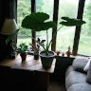 Meet your Posher, Arich